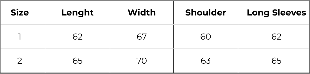 [ROI WORKSHOP] Blank Hoodie