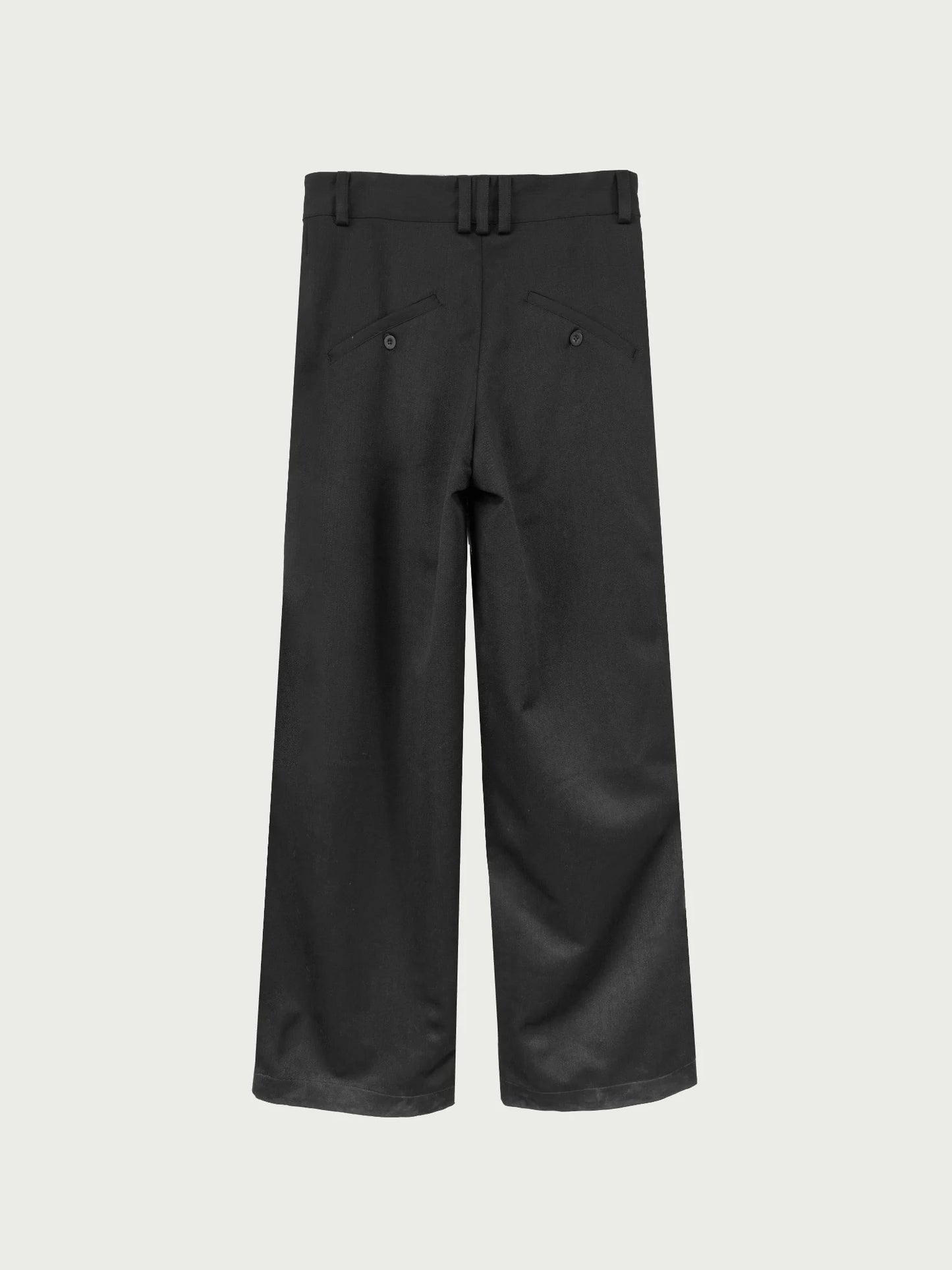 [ALCYUS] ALMV | PLEATED TROUSERS